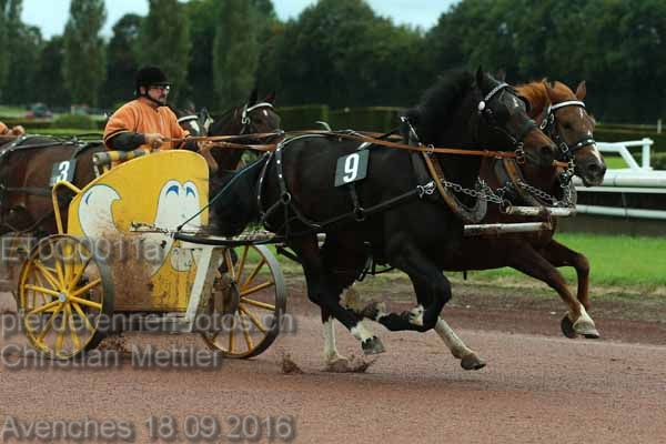 ET0Q0011a prot